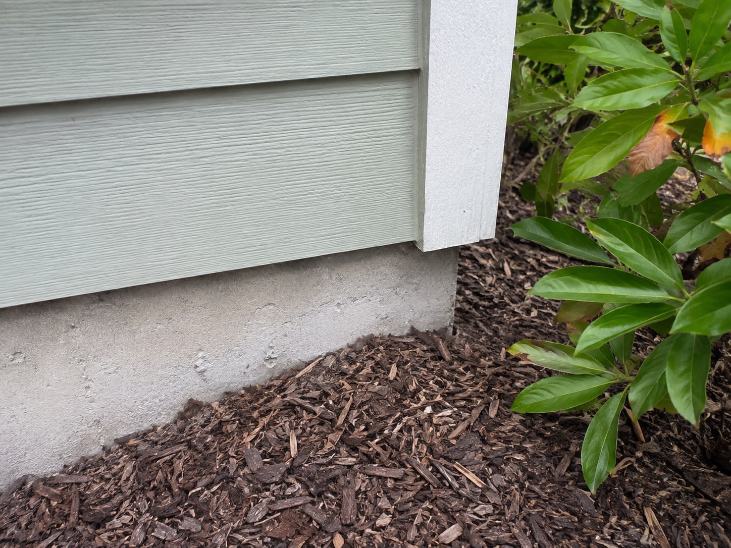 Lower cladding edge above the mulched planting bed.