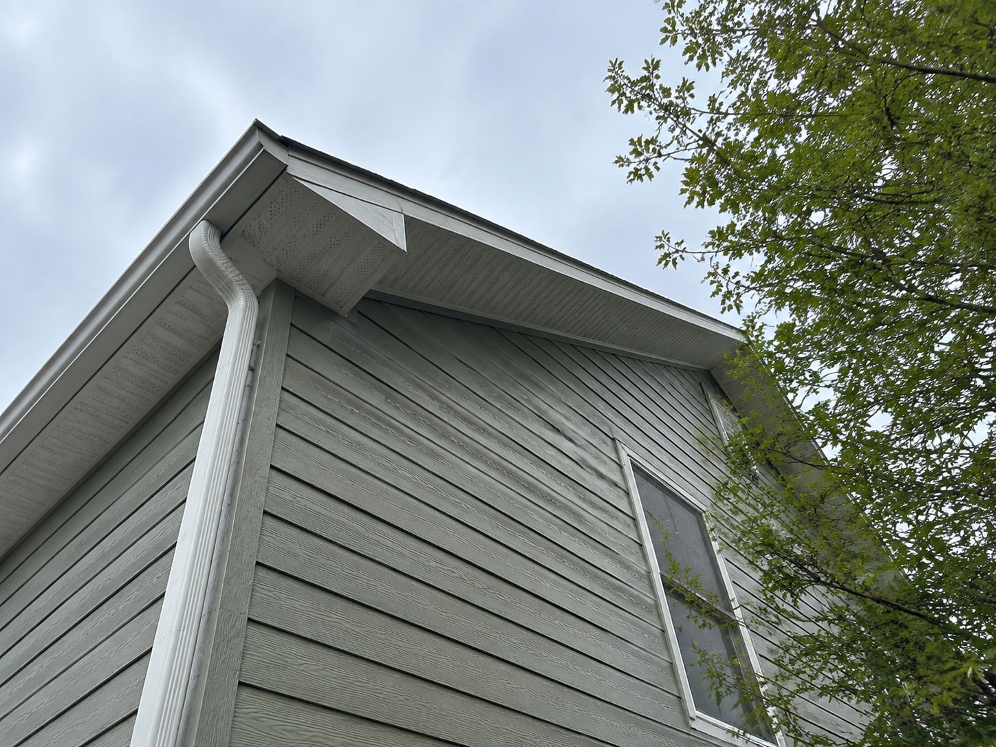 Eave, gutter and adjacent roof edge viewed from the perimeter.