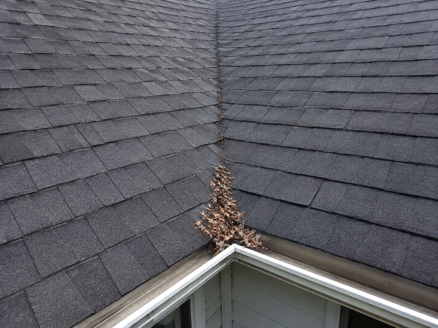 Leaf debris collected along the roof valley.